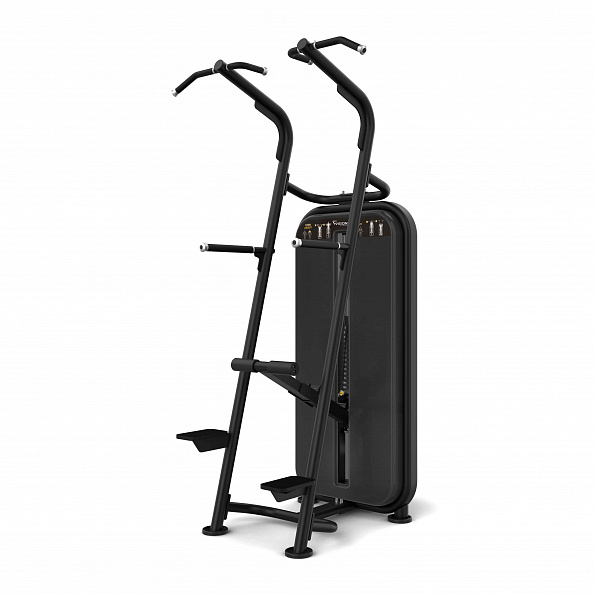 VF24_VST600-S601 chin-dip assist_hero_lores